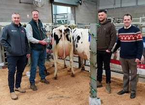 David Hares holds the Bryan Challenor Cup watched by Rob Braithwaite (far left) from World Wide Sires, judge James Meddins and Halls’ auctioneer Jonny Dymond.