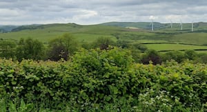 Looking towards where the weather mast could be built, from the A44 road. From Google Streetview