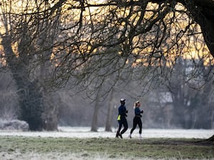 Two people running in a park