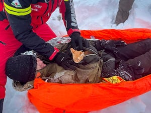 Peach from the jacket of his owner, Vladislav Duda