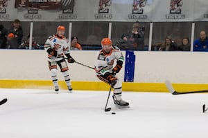 Action from Telford Tigers' defeat to Sheffield Steeldogs on Sunday Picture: Edward Bowen/ebphotography