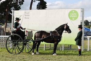 The Royal Welsh Show attracts a host of competitors  