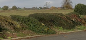 Living Space Housing want to build 38 homes on land off Cedars Drive in Shrewsbury. Picture: Google