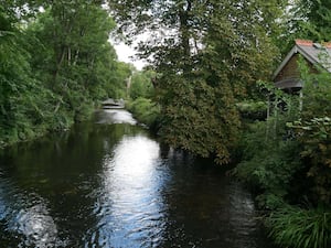 River Wandle flowing between trees