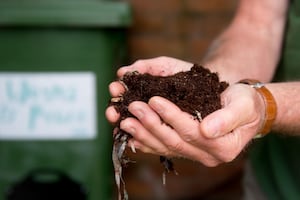 A handful of compost