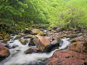 River Dart flowing around rocks with tree-lined banks in the Dart Valley