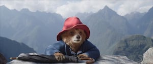 Paddington in Peru will be shown at a Kington venue on a Saturday afternoon