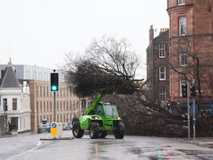 Workmen removing a fallen tree lying over a road