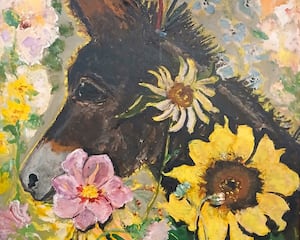 The painting of Jessie the donkey, which is at the Soldiers of Shropshire Museum at Shrewsbury Castle