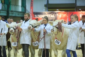 The English Winter Fair 

