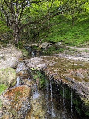 Nant Methan Waterfall - Celtic Rainforest at Elan Valley