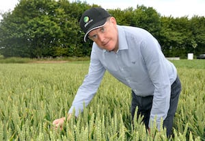 Last season provided a number of lessons for better managing late-planted wheat crops, says Mike Thornton