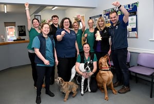 Team members at Quarry Veterinary Group in Shrewsbury celebrate their Practice of the Year Award