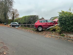 Two cars end up in hedge after Wellington crash