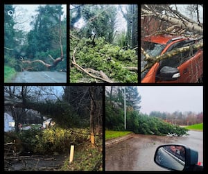 A montage of fallen trees and damage during Storm Darragh