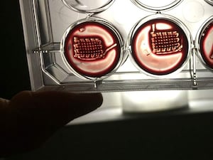 3D printed blood products