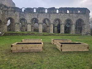 The Raised Beds at Buildwas Abbey