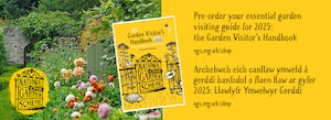 Ways to support the National Garden Scheme through the winter 