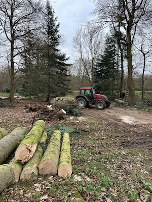 Wet ground has made it tough for heavy machinery to clear fallen trees. Picture: Gareth Juleff/National Trust.