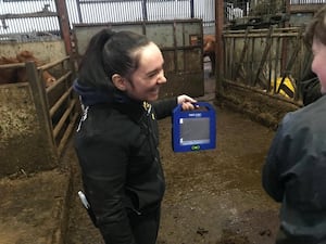 Kaetlin Padgett on placement with the British Limousin Cattle Society