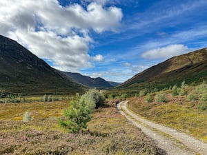 Alladale Wildlife Reserve