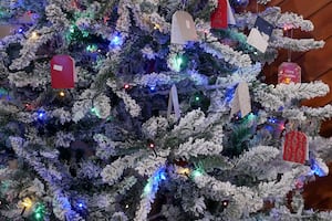 Llandrindod Wells Town Council’s tree of remembrance. Image: Andy Compton