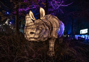 Chester Zoo's magical lanterns and light trail has opened.