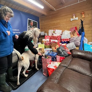 Hundreds of presents have been delivered.