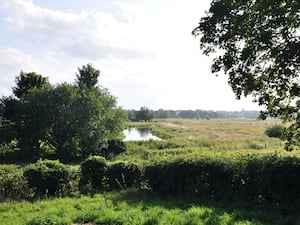 View over fields running down to a river, framed by trees