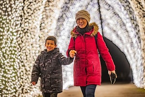 Chester Zoo's magical lanterns and light trail has opened.