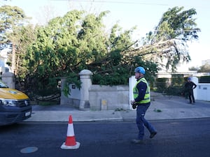 ESB Networks crew working to restore power in Avoca Avenue in Blackrock, co Dublin, after Storm Eowyn left one person dead and more than a million people without power and caused significant travel disruption across the UK and Ireland