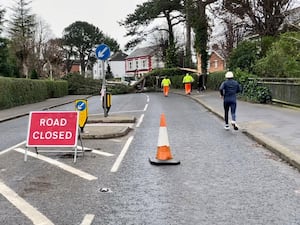 Highway maintenance workers inspecting a tree lying across a road