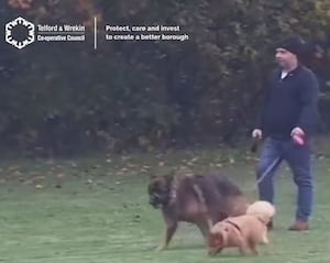 Do you know this dog walker? Photo: Telford & Wrekin Council