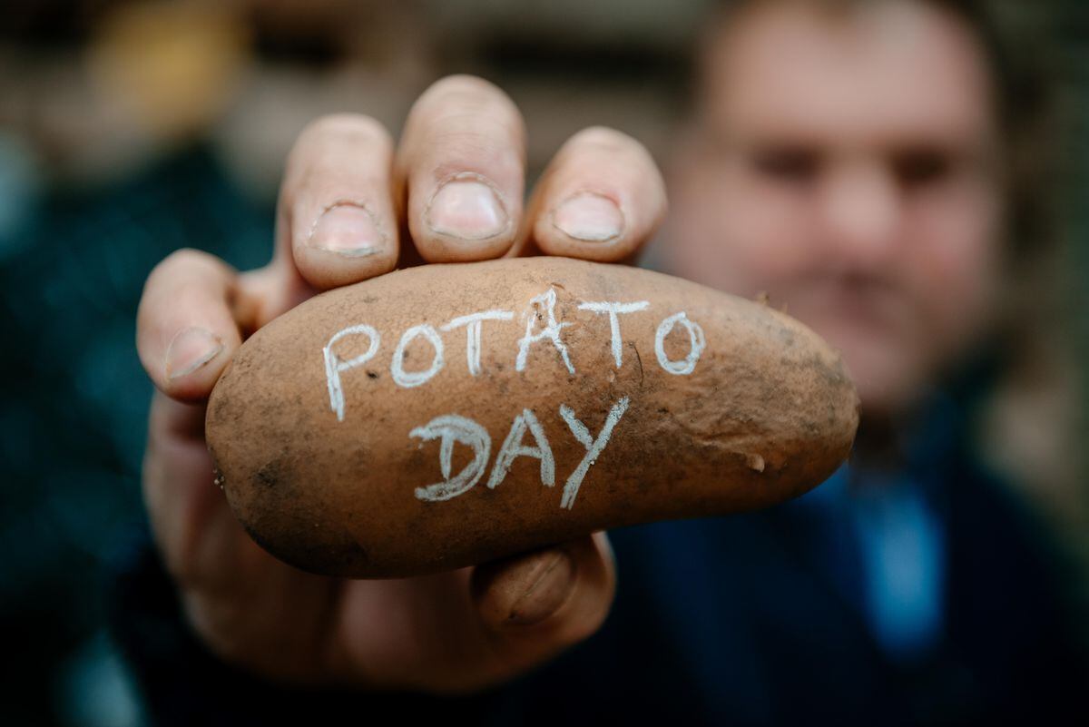 Shropshire Potato Day organisers aiming for a mash hit Shropshire Star
