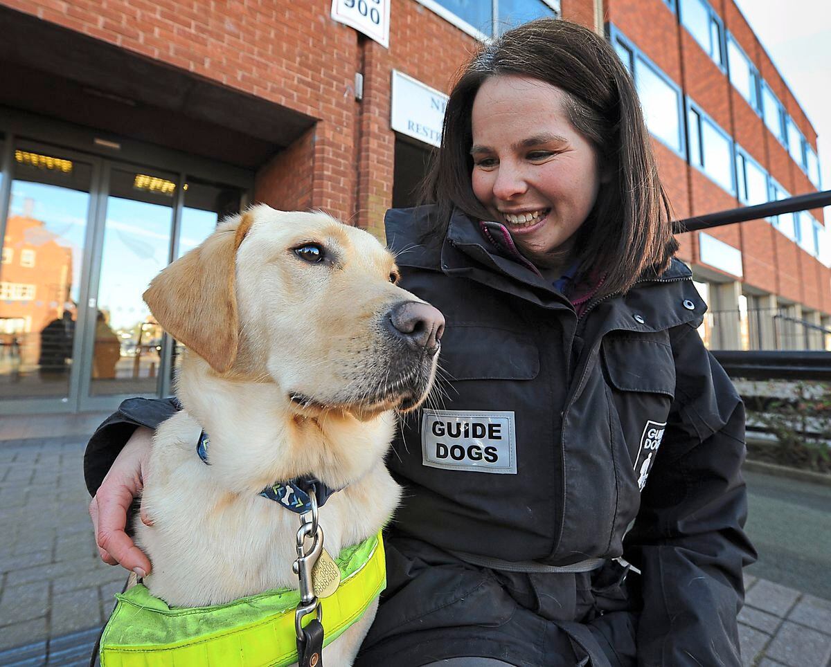 which dogs make the best guide dogs