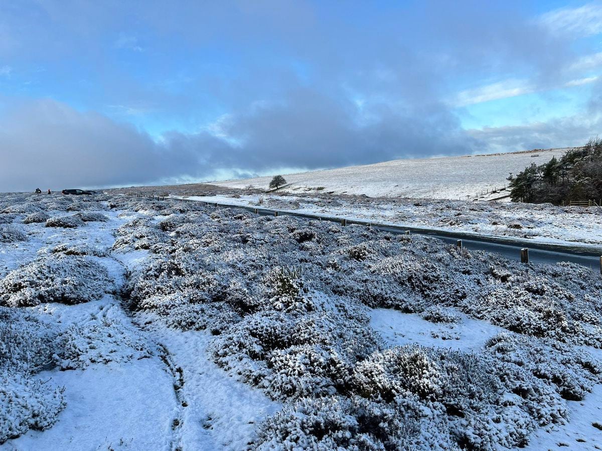 List of schools closed in Shropshire and Mid Wales after overnight