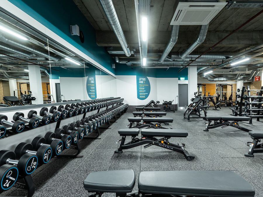 Puregym dumbbells online