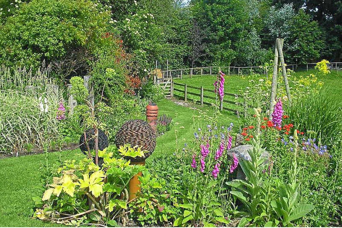 Sport-themed garden in Whitchurch open to public | Shropshire Star