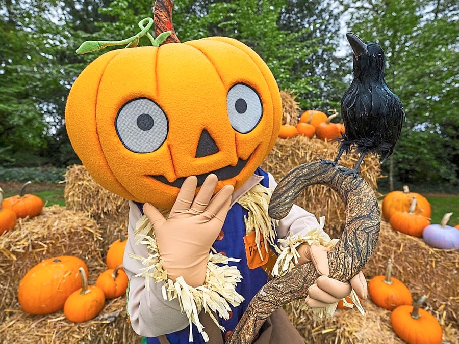 Halloween Activities This Weekend
 Top 10 Halloween events this weekend to give your family a scarily good