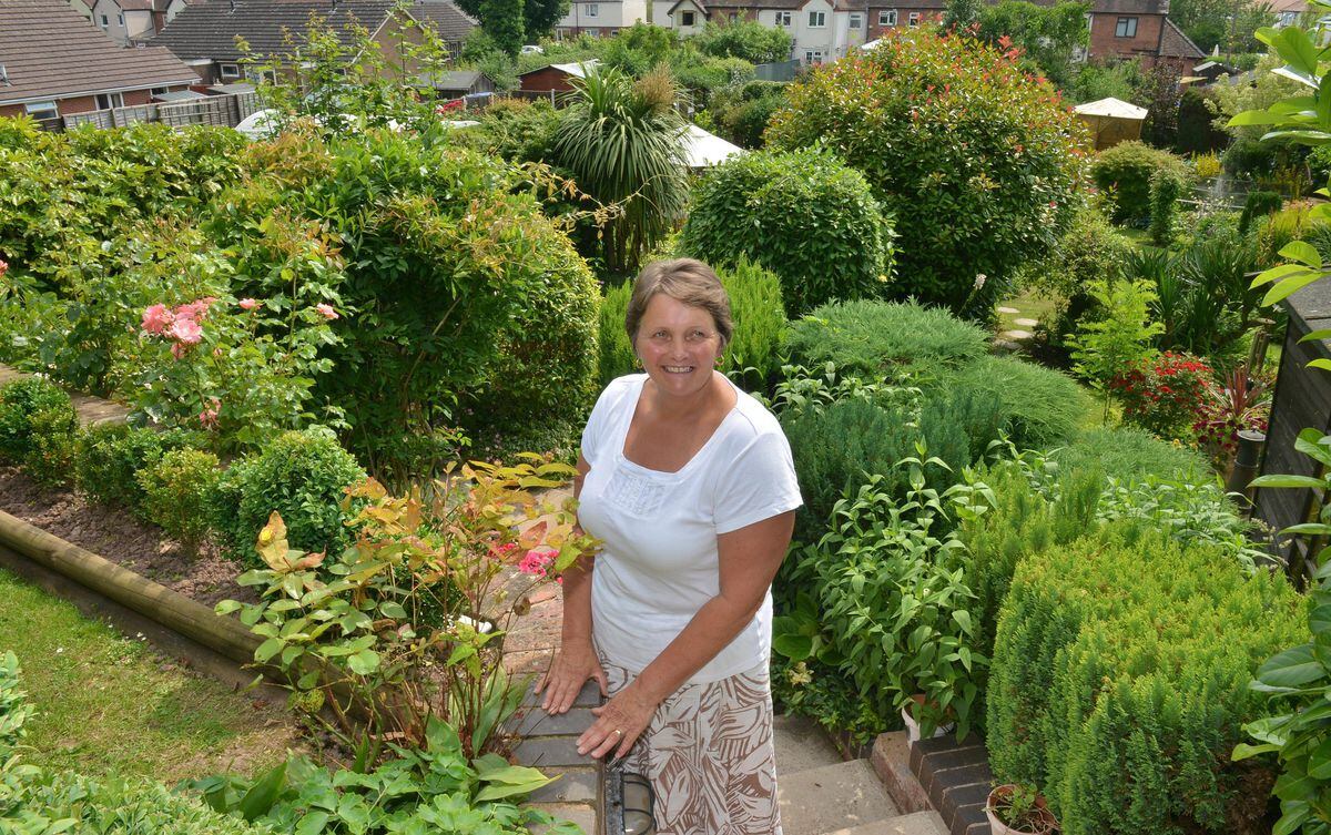Ludlow's secret garden opens its gates | Shropshire Star