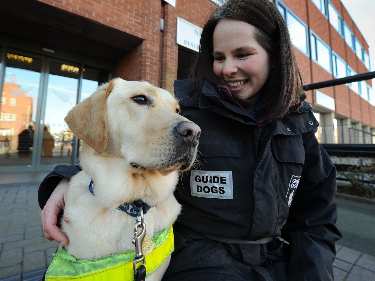 Sadness at death of Shrewsbury guide dog Kelsey | Shropshire Star