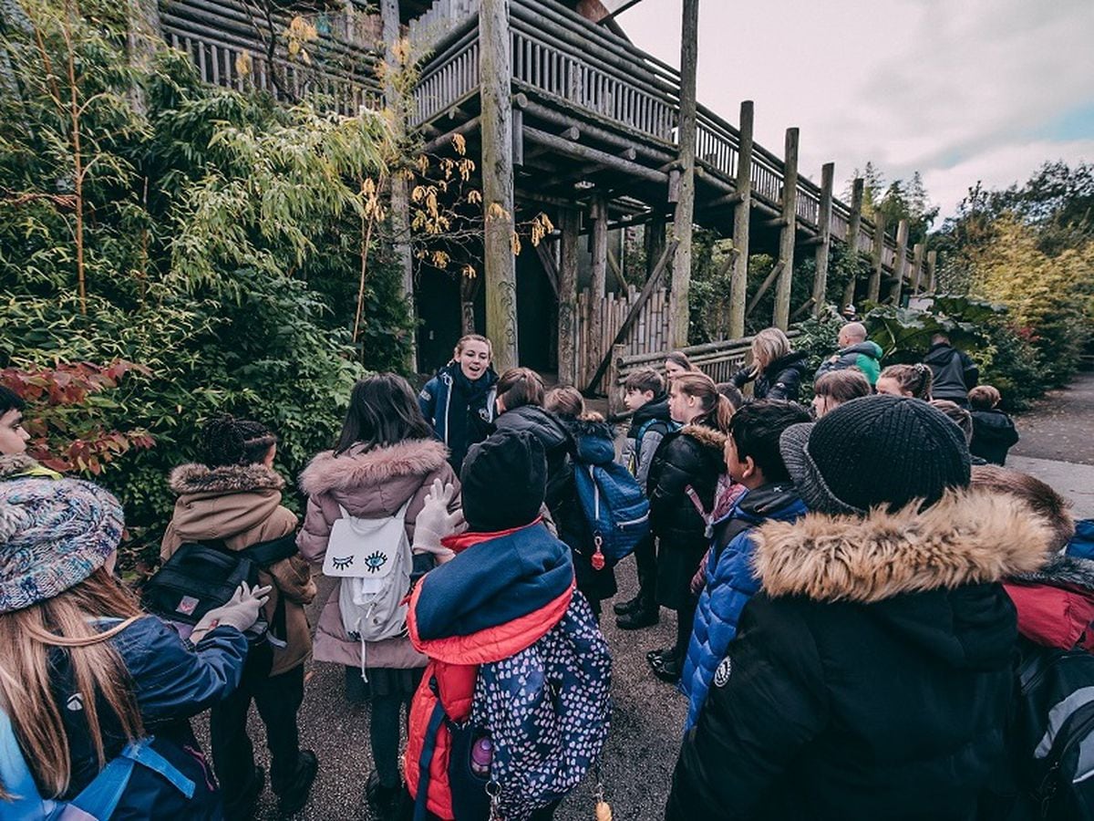 chester-zoo-to-give-away-30-000-more-free-tickets-to-school-pupils