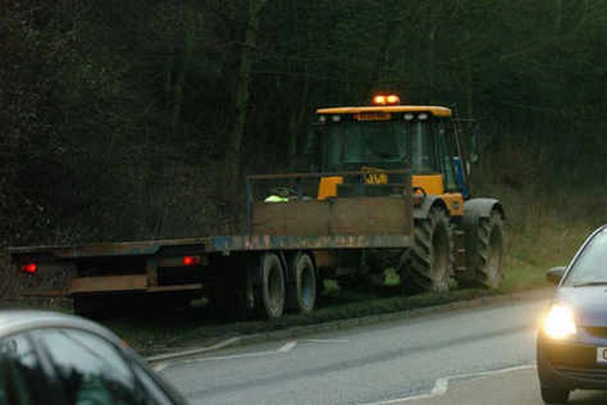 Cows Freed Into Field After Accident On A49 | Shropshire Star