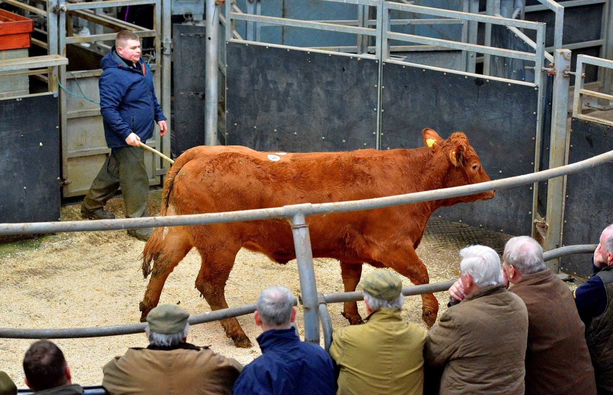 Shropshire livestock markets 'vital' to feed the nation through